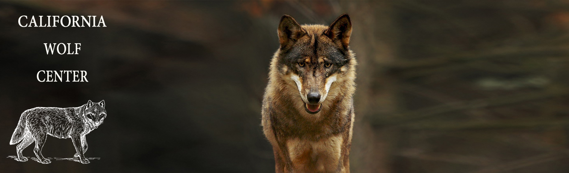 California Wolf Center